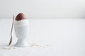 Chocolate egg on white eggstand holder Royalty Free Stock Photo