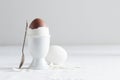 Chocolate egg on white eggstand holder Royalty Free Stock Photo