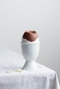 Chocolate eggs on white eggstand holder Royalty Free Stock Photo