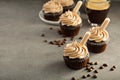 Chocolate espresso cupcakes with irish cream liquor Royalty Free Stock Photo