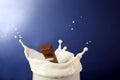 Chocolate falling into milk on blue background Royalty Free Stock Photo