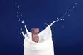 Chocolate falling into milk on blue background Royalty Free Stock Photo