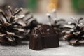 Chocolate figurines-Santa Claus, hare, horse, dragon, bell Royalty Free Stock Photo