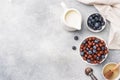 Chocolate flakes made from natural cereals with fresh blueberries, honey and milk. The concept of a healthy wholesome Royalty Free Stock Photo