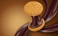 Chocolate flow and cookie Royalty Free Stock Photo