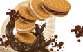 Chocolate flow and cookie Royalty Free Stock Photo