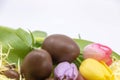 Chocolate and flowers for Easter and arrival of spring