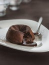 Chocolate fondant lava cake Royalty Free Stock Photo