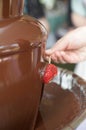 Chocolate Fondue Fountain