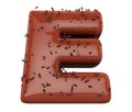 Chocolate font and granules, Delicious letter E. Alphabet 3d render, isolated on white background, path save. Royalty Free Stock Photo