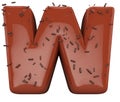 Chocolate font and granules, Delicious letter W. Alphabet 3d render, isolated on white background, path save. Royalty Free Stock Photo
