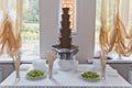 A chocolate fountain 5209.