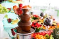 Chocolate Fountain And Fruits For Dessert At Wedding Table