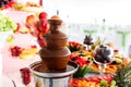 Chocolate Fountain And Fruits For Dessert At Wedding Table Royalty Free Stock Photo