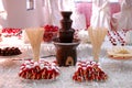 Chocolate fountain with treats