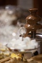 Chocolate fountain at a wedding reception