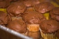 Chocolate Frosted Cupcakes Royalty Free Stock Photo