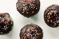Chocolate Frosting on Vanilla Cupcakes with Rainbow Sprinkles Royalty Free Stock Photo