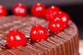 Chocolate Fudge Cake with Cherries Royalty Free Stock Photo