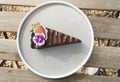 Picture Chocolate Fudge Cake: delicious, rich, sweet, and smooth on the tongue. Royalty Free Stock Photo