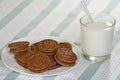 Chocolate fudge cookies Royalty Free Stock Photo