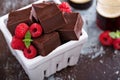 Chocolate fudge pieces Royalty Free Stock Photo