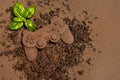 Chocolate Game Controller with Basil on Cocoa Background Royalty Free Stock Photo