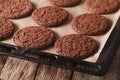 Chocolate gingerbread cookies on the baking sheet. Horizontal Royalty Free Stock Photo