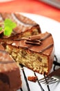 Chocolate glazed nut cake Royalty Free Stock Photo