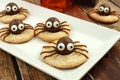 Chocolate Halloween spider cookies on a white plate