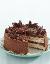 Chocolate and hazelnut cake Royalty Free Stock Photo