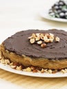 Chocolate hazelnut cake Royalty Free Stock Photo