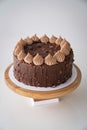 Chocolate and hazelnut cake on white background Royalty Free Stock Photo