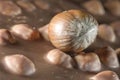 Chocolate with hazelnut. Milk chocolate and hazelnuts background/milk chocolate bar Royalty Free Stock Photo