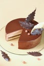 Chocolate Hazelnut Mousse Cake