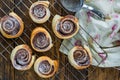 Chocolate hazelnut pinwheels dusted with icing sugar Royalty Free Stock Photo