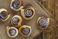 Chocolate hazelnut pinwheels dusted with icing sugar Royalty Free Stock Photo