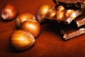 Chocolate with hazelnuts Royalty Free Stock Photo