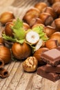 Chocolate and hazelnuts Royalty Free Stock Photo