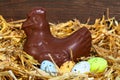 Chocolate hen sitting on easter eggs Royalty Free Stock Photo
