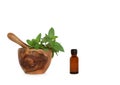 Chocolate Herb Mint Royalty Free Stock Photo