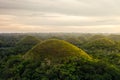 Chocolate Hill in Bohol Island, Philippine Royalty Free Stock Photo