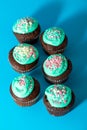 Chocolate homemade cupcakes decorated with colorful icing sugar and sprinkles. Festive sweet food close-up. Vertical image Royalty Free Stock Photo