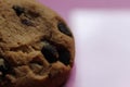 Chocolate homemade holiday cookies with chocolate drops lying on the side right close up on a pink fuchsia background side view of Royalty Free Stock Photo