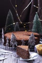 Chocolate honey cake in a Christmas decoration on a wooden background. Royalty Free Stock Photo