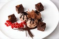 Chocolate ice cream with bonbons and red currants Royalty Free Stock Photo