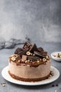 Chocolate ice cream cake Royalty Free Stock Photo