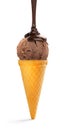 Chocolate ice cream with chocolate