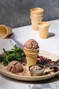 Chocolate ice cream Royalty Free Stock Photo