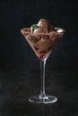 Chocolate ice cream with raspberries Royalty Free Stock Photo